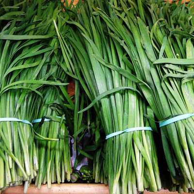 KNESSiN Heat Tolerant Garlic Chive Seeds For Gardening-(2400 Seeds) Seed(2400 per packet)