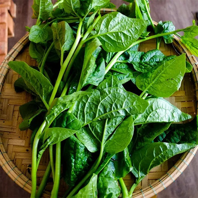 MYLAWN High Quality Spinach Palak Seed(800 per packet)