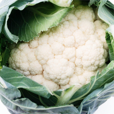 Hybrid Galaxy Fresh VNR Cauliflower Vegetable Quality Seed(10 per packet)