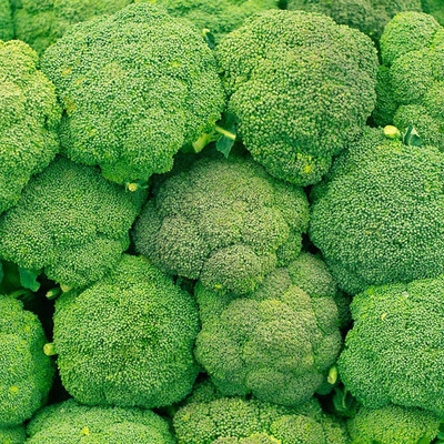 KNESSiN Broccoli Seed(200 per packet)