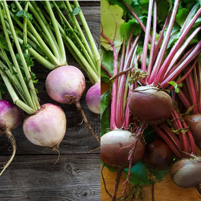 Aywal BEETROOT/TABLE BEET/GARDEN BEET/RED BEET/DINNER BEET Seed(100 per packet)