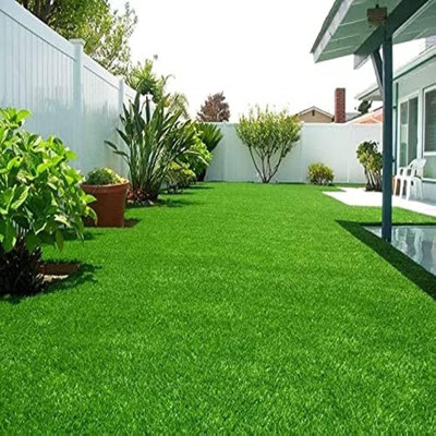 ibains Garden grass seeds for lawn Seed(3600 per packet)