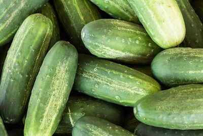 WHYGI Carolina Cucumber Seeds,Heirloom Seeds-CuC_1178 Seed(250 per packet)