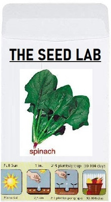 KNESSiN Malabar Spinach Seed(50 per packet)