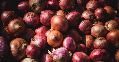 Mozette Organic onion Seed(39 per packet)