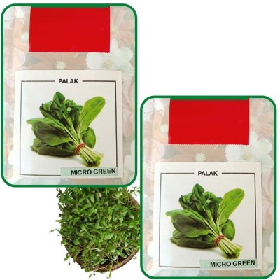 Qualtivate PUA-3A Hybrid Spinach (Paalak) Seeds Seed(300 per packet)