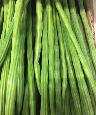 RSLT Long Drumstick Sehjan Moringa Oleifera Seed(100 per packet)
