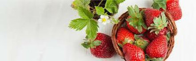 XOLDAA strawberry fruit seeds Seed(180 per packet)