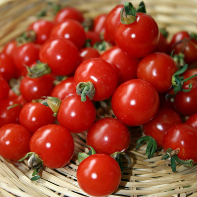 Biosnyg Hybrid Sweet Aperitif Cherry Tomato Seeds for Home Gardening - (2000 Seeds) Seed(2000 per packet)