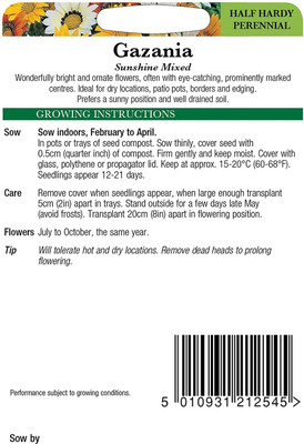 CYBEXIS Gazania 'Splendens Mixed' Quality Flower Seed(1 g)