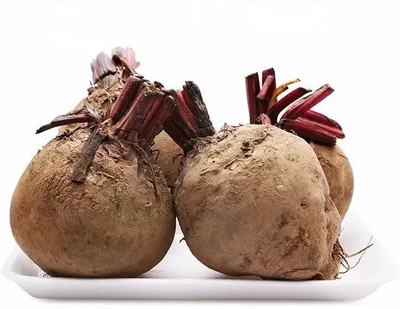 MYLAWN Dark Red Beet Seeds | Ruby Red Seed(2000 per packet)