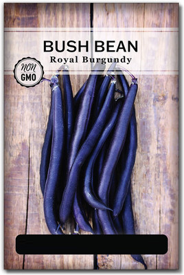 Biosnyg NDIR-53 Royal Burgundy Bush Bean Seed-[800 Seeds] Seed(800 per packet)