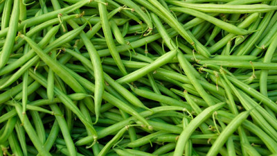 KS TRADERS French Beans vegetable Seed(1 per packet)
