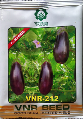VNR Brinjal, VNR 212 10gm Seed(10 g)