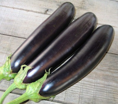 Qualtivate ICRA-5A Eggplant Aubergine Long Pop Black Brinjal Seed(300 per packet)