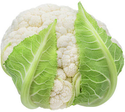 VERDOR white cauliflower,gobhee seeds Seed(30 per packet)