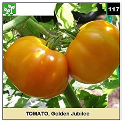 CYBEXIS GOLDEN JUBILEE TOMATO-250 Seeds Seed(250 per packet)