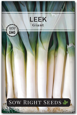 WILLVINE SYN -IV Giant Leek, Large Green Chive Onion [50g] Seed(30000 per packet)