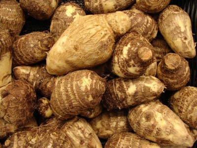 KANAYA Taro Root/Arbi Bulbs Seed(6 per packet)