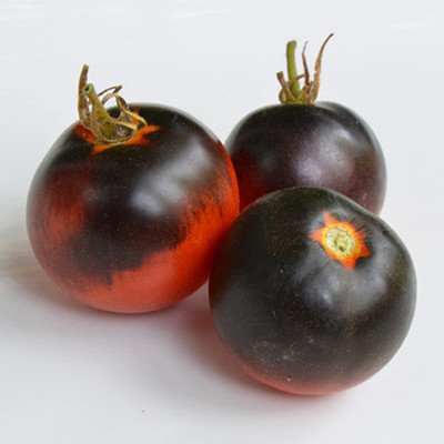 CYBEXIS Rare Carnival Mixed Tomato1000 Seeds Seed(1000 per packet)