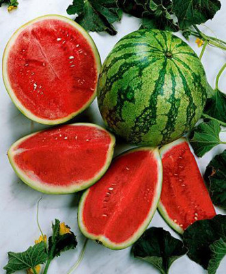 Aywal King Watermelon Tarbuj Tarbooj summer fruit Seed(70 per packet)