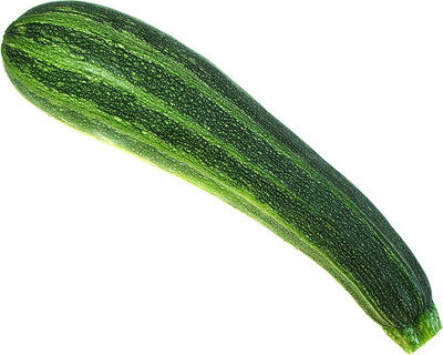 CYBEXIS XLL-1 - Summer Squash Italian Striped Zucchini - (75 Seeds) Seed(75 per packet)