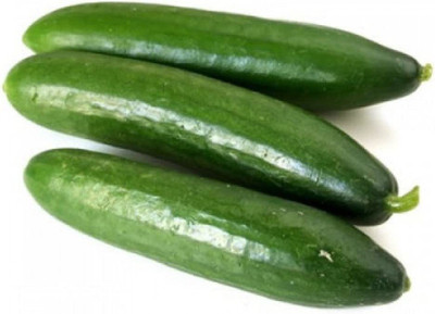 CYBEXIS LX-81 - Rare Cucumber Emelya Giant Long - (450 Seeds) Seed(450 per packet)