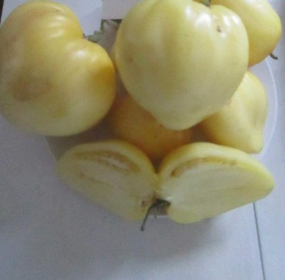 CYBEXIS Seeds of Rare Tomato Bulls White Heart500 Seeds Seed(500 per packet)