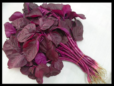 WILLVINE Vegetable Amaranth Red Saag (लाल साग) For Home and Gardning Winter(2000 Seeds) Seed(2000 per packet)