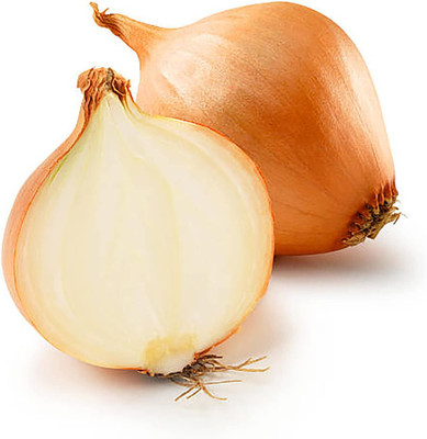KNESSiN Easy to Grow Kelsae Giant Onion Seeds For Kitchen Gardening-(300 Seeds) Seed(300 per packet)