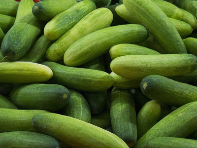 BDSresolve Veḷḷarikkāy cucumber seeds/ Cucumber seeds 41 Seed(41 per packet)