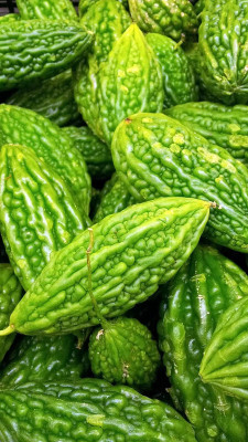 Oliver F1 BEST QUALITY BITTER GOURD SEEDS Seed(15 per packet)