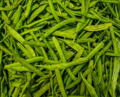 Quentova Cluster Beans (देसी गावरान गवार )-7L-NAMO Seed(50 per packet)