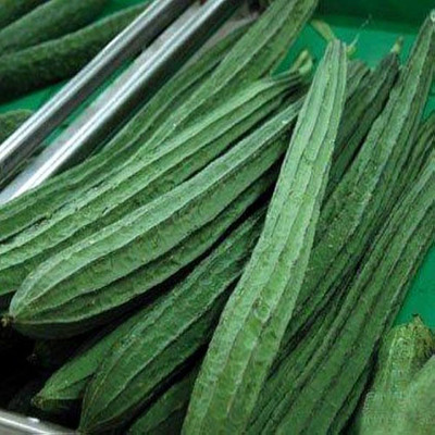 BDSresolve ridge gourd seeds for home garden/Ridge guard seed 21 Seed(21 per packet)
