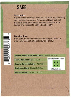 CYBEXIS XL-97 - Organic Sage - (150 Seeds) Seed(150 per packet)