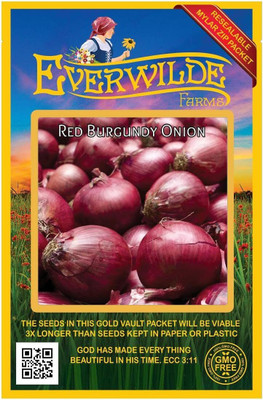 WILLVINE MEH -VII Red Burgundy Onion Seeds [50g] Seed(30000 per packet)