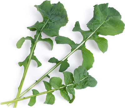 CYBEXIS NBIR-76 - Arugula Roquette (Rocket) - (250 Seeds) Seed(250 per packet)