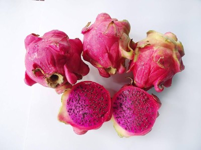 ibains Red dragon fruit plant seeds pack of 12 Seed(12 per packet)