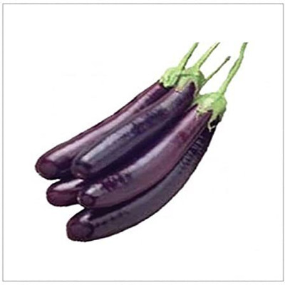 Qualtivate RES-4A Brinjal Black Long F1 Hybrid Seed(300 per packet)