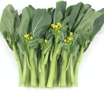 Qualtivate HUA-1A Chinese Broccoli Bok Choy Cantonese Cabbage Seed(300 per packet)