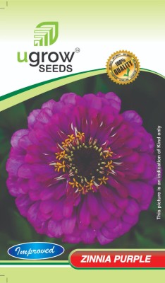 GARDENIFY INDIA GARDENIFY INIDA VIBRANT PURPLE BLOOMZINNIA FLOWERS ZINNIA PLANT & SEEDS Seed(40 per packet)