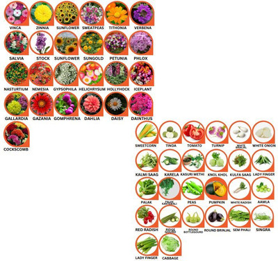 Hothanger Organic & Hybrid Vegetable + Flower Seeds | Home Gardening Kit for Pots, Terrace Seed(100 per packet)