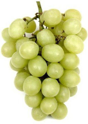 Quentova Extra Sweet green grapes-NDIR-3L Seed(150 per packet)