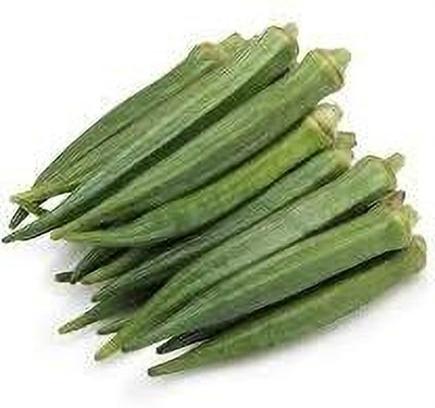 LPR LADY FINGER, (BINDI) Seed(30 per packet)