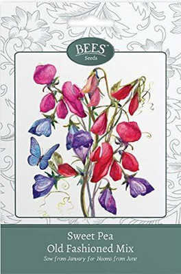 CYBEXIS Flower Seeds - Sweet Pea Old Fashioned Mixture Seeds Seed(50 per packet)