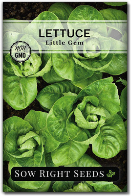 CYBEXIS PAU-11 - Little Gem Lettuce - (450 Seeds) Seed(450 per packet)