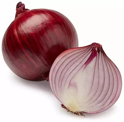 Quentova Nasik Onion-ROC-6W Seed(250 per packet)