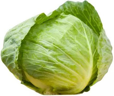 MYLAWN Organic green cabbage Seed(500 per packet)