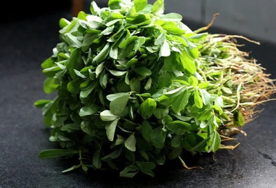 GREENWIN Fenugreek Leafy – हरी मेथी Seed(250 per packet)