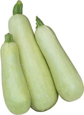 VibeX HUA-99 - Limelight Hybrid Summer Squash - (75 Seeds) Seed(75 per packet)